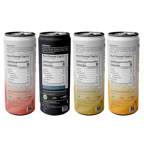 Image of RTB KOMBUCHA Combo of 4-250ml Each (Guava, Spirulina, Pineapple & Mango) Helps in Immune System & Digestive System(Kombucha Culture, Fruit Pulp & Organic Sugar)