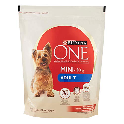 Purina One Mini
