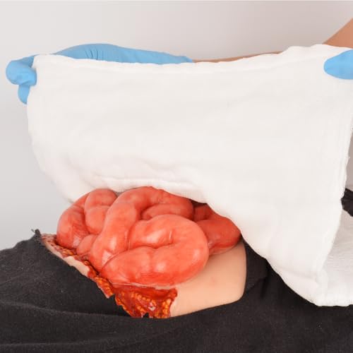 Image of Adhesive Eviscerated Intestine Simulator, Open Abdominal Wound Packing Trainer, Small Intestine Simulator for Wound Care Practice, Medical Education Tools