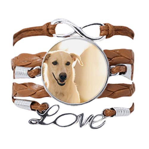 Corde tordue de cuir noir bracelet avec médaillon photo chien blanc aux finitions soignées
