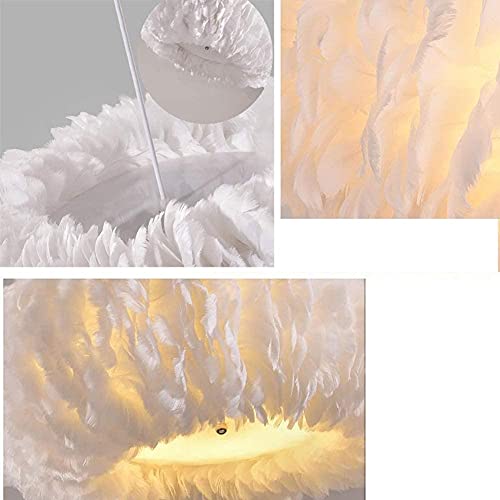 Novelty, Feathers Decorative Creative Girl Children's Room Wroom Lighting Living Room Room Lighting/19Inch (M)