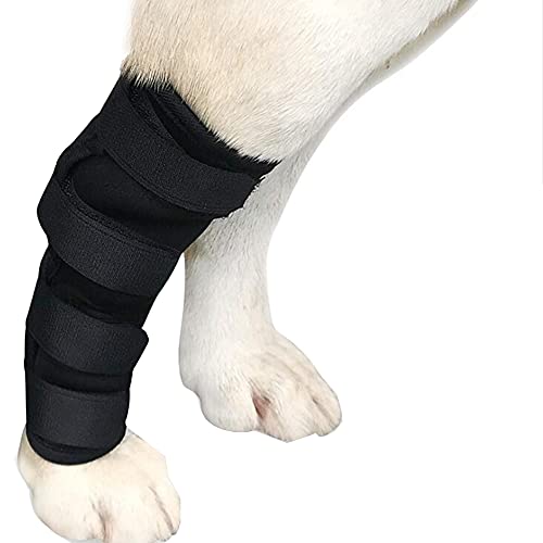 MinniLove  L ybgpT|[^[ veN^[ یp ʋC y e ̕ی 둫͊⏕ ی rߖh~ ֐ߕی (Kij, S)