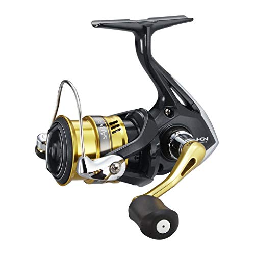 Moulinet Shimano Sahara C5000 XG FI pour traquer le bar en mer agitée