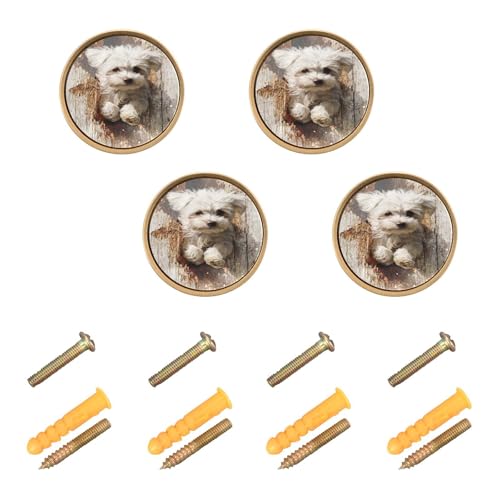 SyXIOP Perillas redondas de madera blanca con diseño de perro maltés 3D para cajones de cocina, 1.26 pulgadas (32 mm) para puerta de armario, paquete de 4