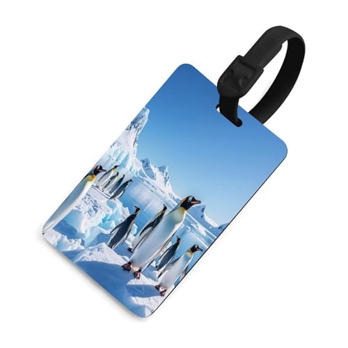 Penguin Antarctica Ice Luggage Tags Suitcase Tags Name ID