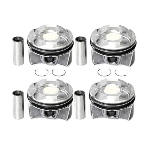 4{sXgOZbg 11257601181 11257601077 STD B16 A C N18 ԃI[goCiƌ݊Jg[}y[X} 2010 2011 2012 2013 2014 2015 2016