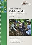 zahlenland im kindergarten material  Entdeckungen im Zahlenwald: Ein Leitfaden zur mathematischen Bildung im Wald für Kinder von 3 bis 8 Jahren