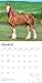 Clydesdales | 2026 12 x 24 Inch (Hanging) Monthly Square Wall Calendar | Plastic-Free | BrownTrout | Animals Horses