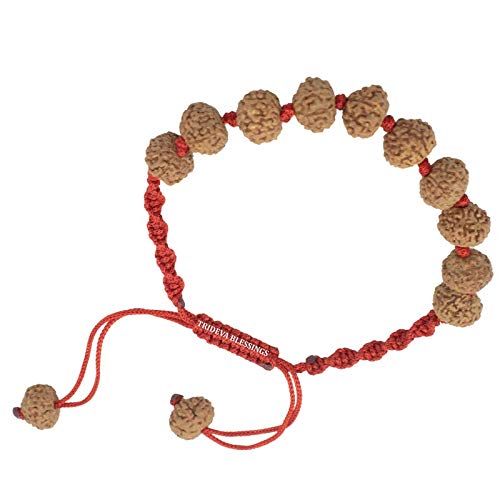 Trideva Blessings 8 Mukhi Rudraksha/Eight Face Rudraksha Bracelet - 12 beads (B08K4NNT1W) Amazon Price History, Amazon Price Tracker