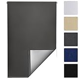 [page_title]-Sol Royal Thermorollo SolReflect T42 Verdunkelungsrollo 60x160 Klemmfix Rollo ohne Bohren Silberbeschichtung Anthrazit