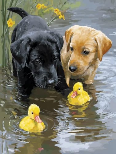 Paint by numbers perro y cuadros decoracion dormitorios kit de pintura por numeros