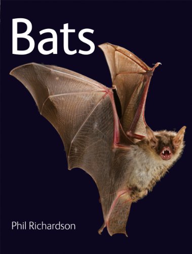 Bats