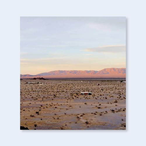 John Divola Isolated Houses