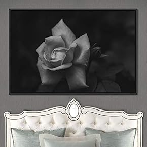 signwin Framed Canvas Wall Art Black and White...