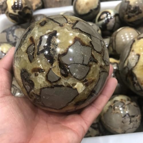 Boule de cristal écaille de tortue 10cm, le cadeau idéal pour collectionneur - 5