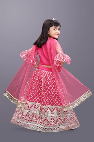Image of Girl's Princess Lehenga Choli Set - Soft Net, Ribbon Embroidery With Duppata, Readymade