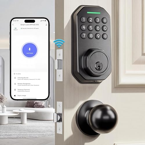 WiFi Smart Keyless Door Lock Set with App
