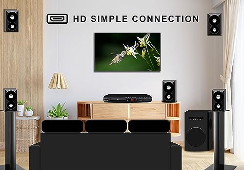 Image of Target TT-444 MPEG4 Technology 5.1 Channel DVD Player 150 watts with HDMI, Built-in Speaker, CD Ripping, LED Display, Hi Fi Amplifier USB, SD /MMC & Remote