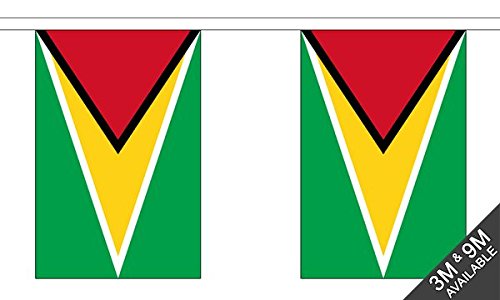 Flagtex Guyana Fabric Bunting – 9m with 30 Flags – Fabric for Indoor & Outdoor Use – String Flags Banners Guyanese South America Caribbean Coast