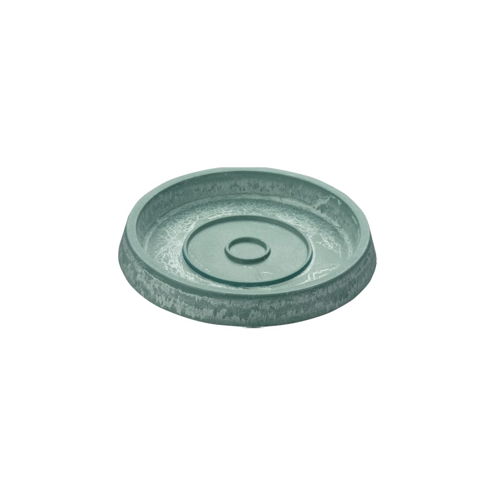 Richell Botany Plate Type 12 Mint Green