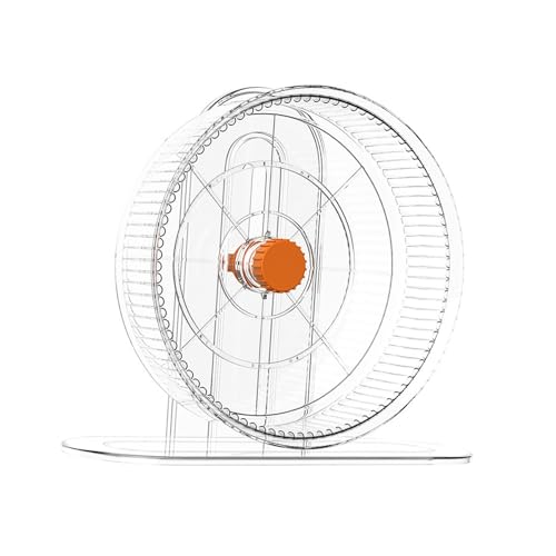 Ｂｅｓｇａ Roda de exercício para hamster, roda de corrida, atividade esportiva silenciosa, corredor inte