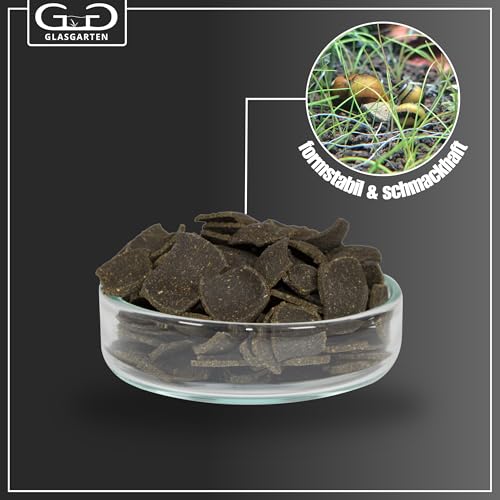 GlasGarten Snail Dinner | 27g – Premium Schneckenfutter, Hauptfutter für Süßwasser-Schnecken, aus 100% natürlichen Zutaten gepresst, schonend getrocknet