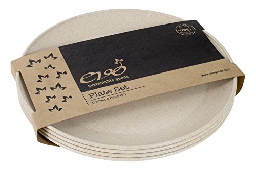 EVO Sustainable Goods 8