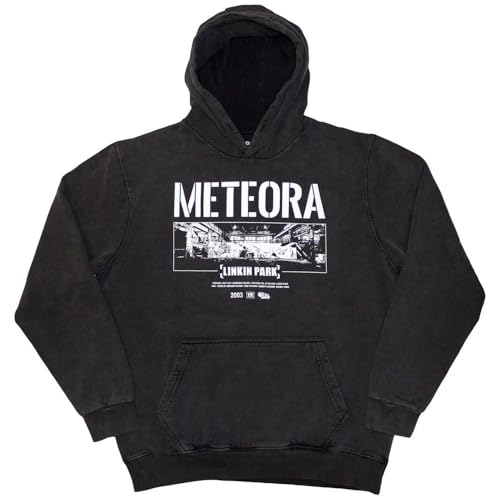 Linkin Park Meteora vestes à capuches pour afficher votre passion rock