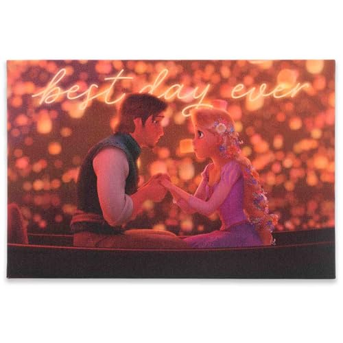 Open Road Brands Disney Tangled Best Day Ever Gallery...