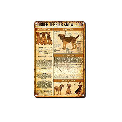 Tin Sign Border Terrier Knowledge Breed Anatomy Vintage Metallic tin Wall Decoration Creative Tin Sign Funny Novelty Metal Sign Vintage Wall Decor 8x12inch