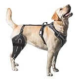 LISPOO Dog Knee Brace for Torn ACL, Luxating Patella, Arthritis Support, Metal Splint Hinged Leg Brace for CCL Injury, L Size