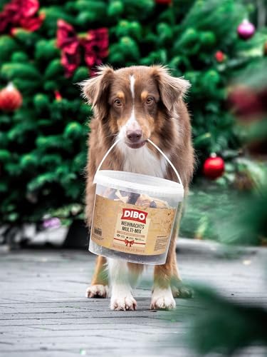 DIBO Weihnachts-Multi-Mix im 750g Eimer - wiederverschließbar, 100% schonend getrockneter Naturkausnack, natürliches und artgerechtes Barf Leckerli für Hunde zur Vorweihnachtszeit