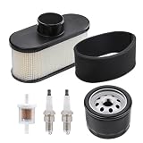 Aylux FR691V FR730V Tune Up Kit for Kawasaki 4-Stroke Engine Lawn Mower