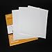 Zebra Windshield Sticker Applicator - Static Cling for Stickers, 4 Inch by 6 Inch Clear Films, Works with Registration Sticker, Inspection Sticker, City Sticker and Parking Permit, Pack of 3 Sheets
