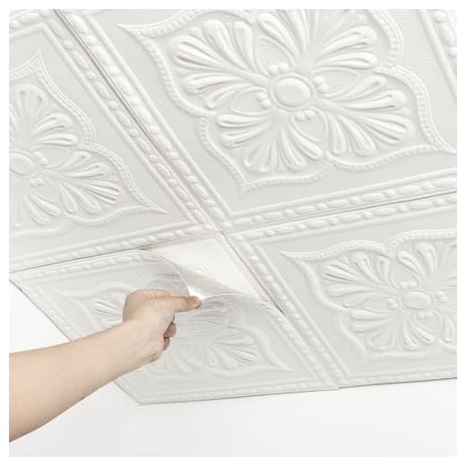 31+ Creative Garage Ceiling Ideas to Transform Your Space 5 Ceiling Tiles, Ceiling Tiles Peel and Stick Foam, 16 Pcs, Covered 21 Sq.Ft, 3D Wall Panels Peel and Stick, Easy to Install and Cut for Ceiling and Interior Wall Decor, Plain White(13.8 x 13.8 inch)