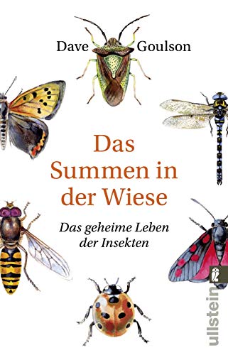 Das Summen in der Wiese: Das geheime Leben der Insekten Das Summen in der Wiese: Das geheime Leben der Insekten