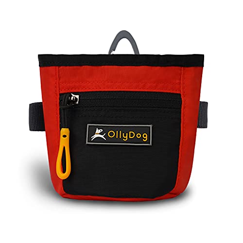 OllyDog Goodie Treat Bag, Dog Treat Pouch, Waist Belt Clip for Hands-Free Training, Magnetic Closure, Dog Training and Behavior Aids, Three Ways to Wear, (Fiesta)