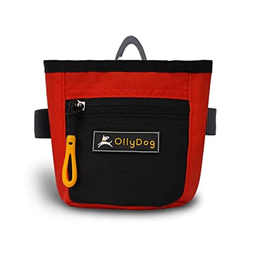 OllyDog Goodie Treat Bag, Dog Treat Pouch, Waist Belt Clip for Hands-Free Training, Magnetic Closure, Dog Training and Behavior Aids, Three Ways to Wear (Fiesta)