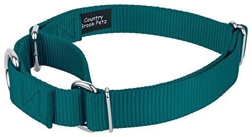 Country Brook Petz - Teal Martingale Heavy Duty Nylon Dog Collar - 21 Vibrant Color Options (1 Inch Width, Medium) #TOP5