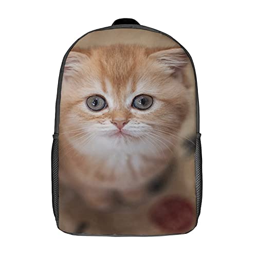 Mochilas escolares informales de 17 pulgadas con diseño de gato para aliviar la carga