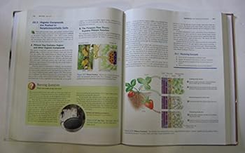 Biology Concepts and Investigations for Biol 1308/1309 Amarillo College