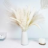 erba di pampas secca naturale decorative,erba di pampa essiccata naturale erba della pampas bouquet di fiori secchi per home decor wedding boho decor (58 pezzi)