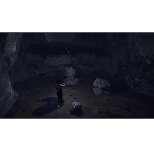 Skábma Snowfall Playstation 5