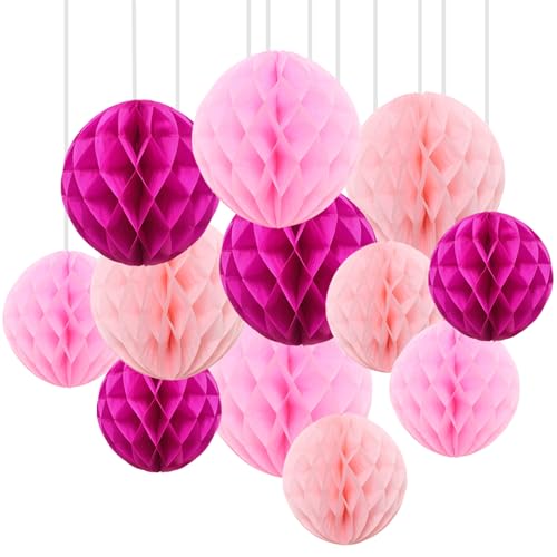 GAKA 12Pcs Pink Hanging Honeycomb Balls Decorations, Tissue Paper Pom Poms for Wedding Birthday Bridal Shower Party Decor(6" 10")