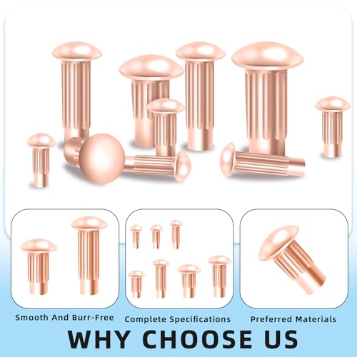 Glarks 170pcs Solid Nieten Knulled Shanks Set, M2 M2.5 M3 M4 Halbrunder Kopf Rot Kupfer Solid Nieten Sortiment Kit mit Aufbewahrungsbox Home Outdoor Hardware Tool