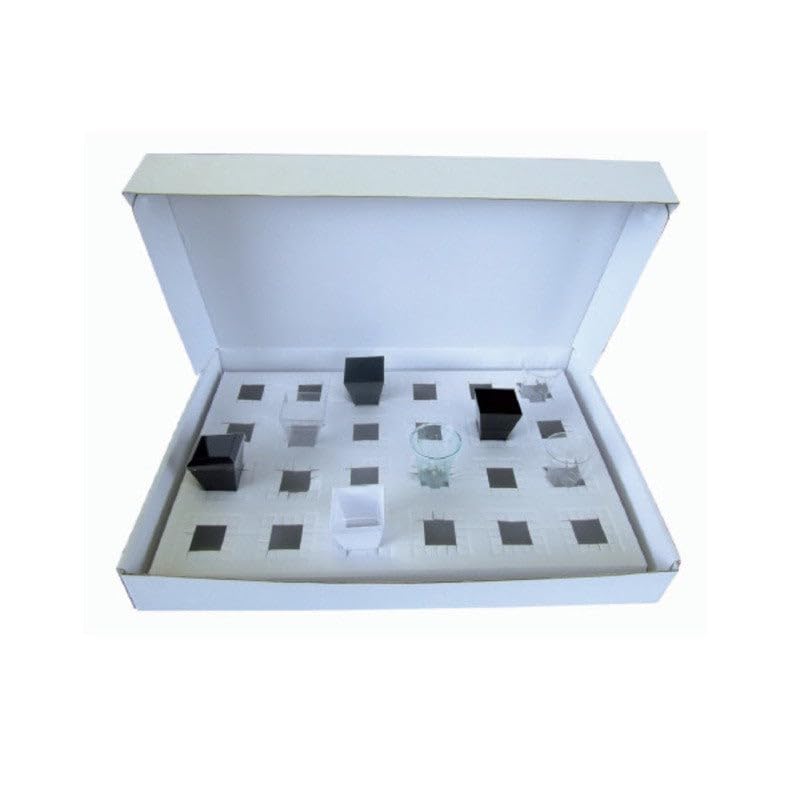 PacknWood - 100 Caja apertivos Rectangular Blanco Cartón | 42,0x28,0 cm | Hostelería Catering, Desechable, Ecológico, Delivery Take Away