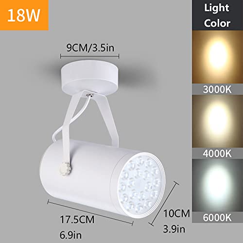 Plafonnier LED cylindre downlight plafond intérieur orientable pour boutique - 3