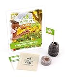 FLORTUS Freude an Vielfalt