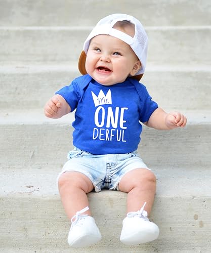 Olive Loves Apple Mr One-Derful Baby Boys 1st Birthday Bodysuit First Birthday Outfit for Boys3
