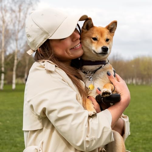 HJZHII 16 Stück Haustier Glocken für Hund Katze, Jingle Bell Charm aus Metall Anti-Lost Training Haustier Anhänger Zubehör mit Schlüsselanhänger aus Edelstahl für Haustiere